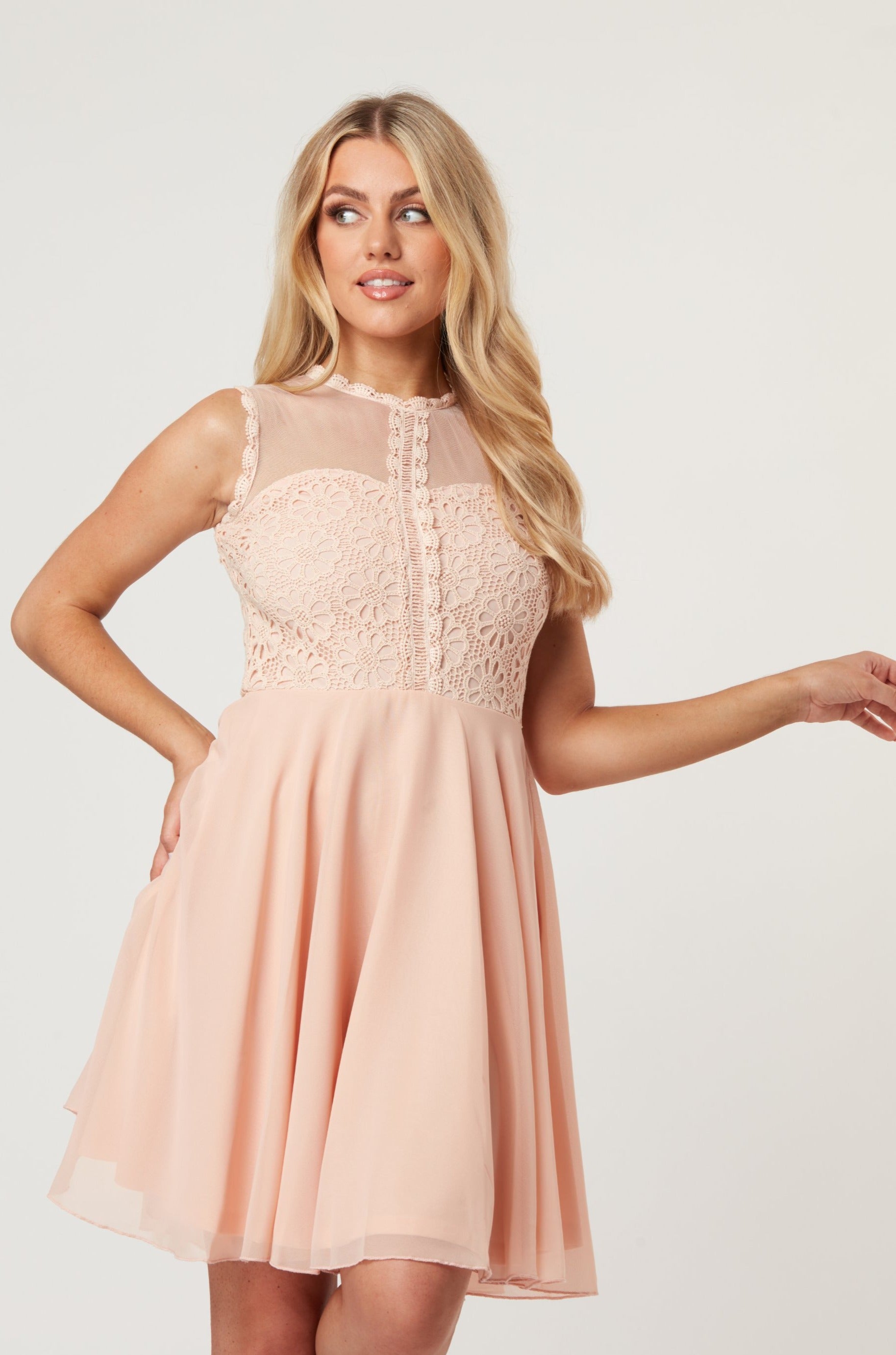 Carlie Blush Tulle and Lace Skater Dress Carlie Blush Tulle and Lace Skater Dress