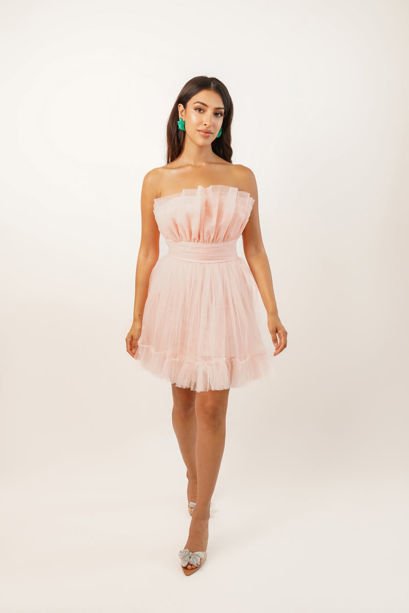 Nanita Tulle Mini Dress in Blush Pink