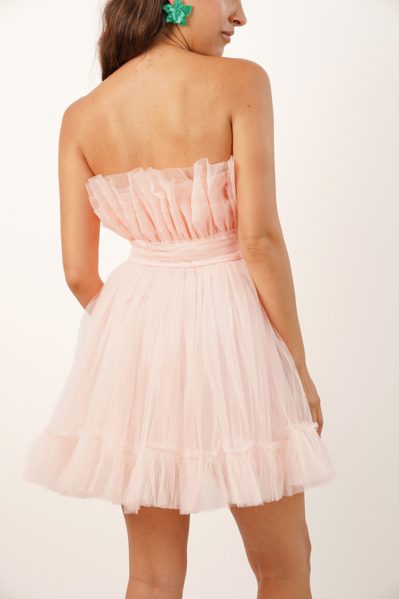 Nanita Tulle Mini Dress in Blush Pink