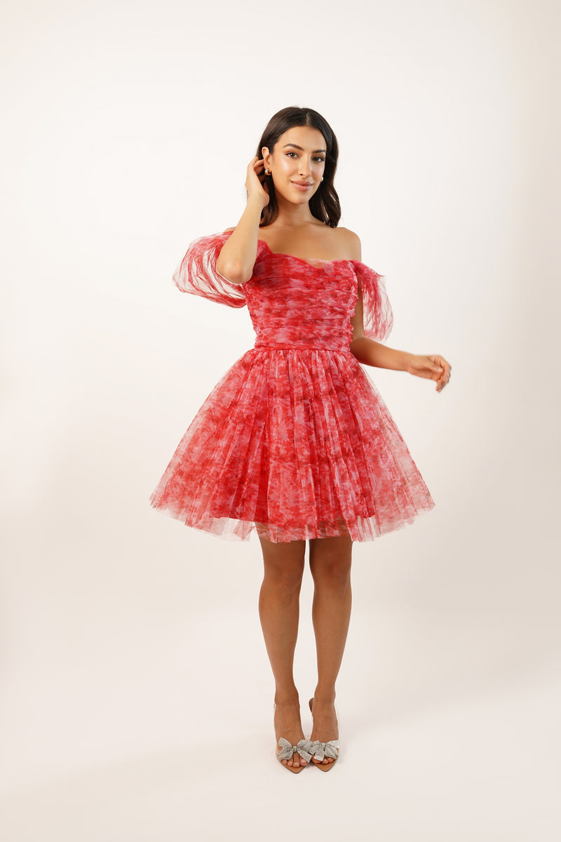 Sydney Red Printed Tulle Mini Dress