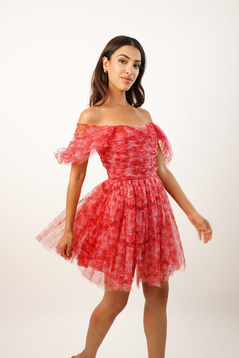 Sydney Red Printed Tulle Mini Dress