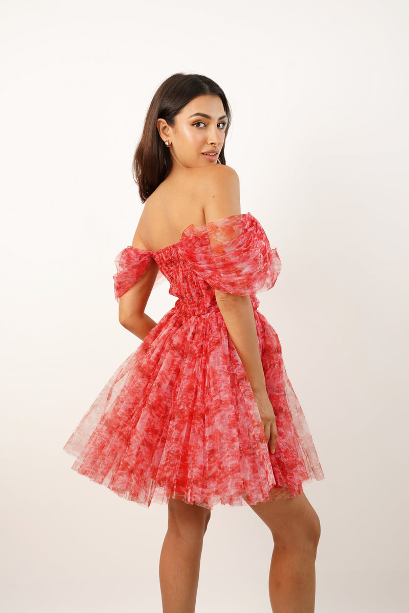 Sydney Red Printed Tulle Mini Dress