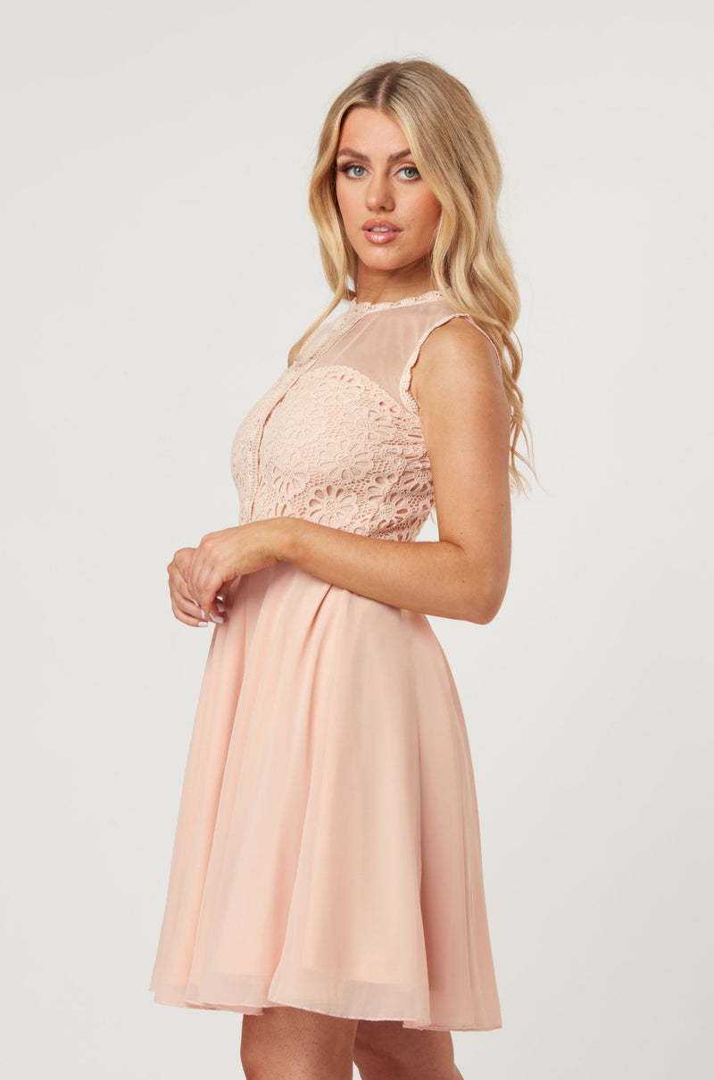 Carlie Blush Tulle and Lace Skater Dress