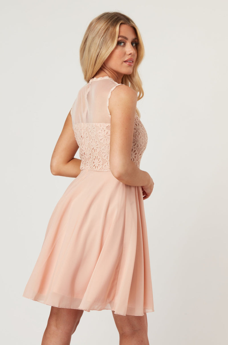 Carlie Blush Tulle and Lace Skater Dress