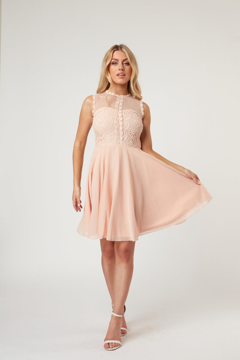 Carlie Blush Tulle and Lace Skater Dress